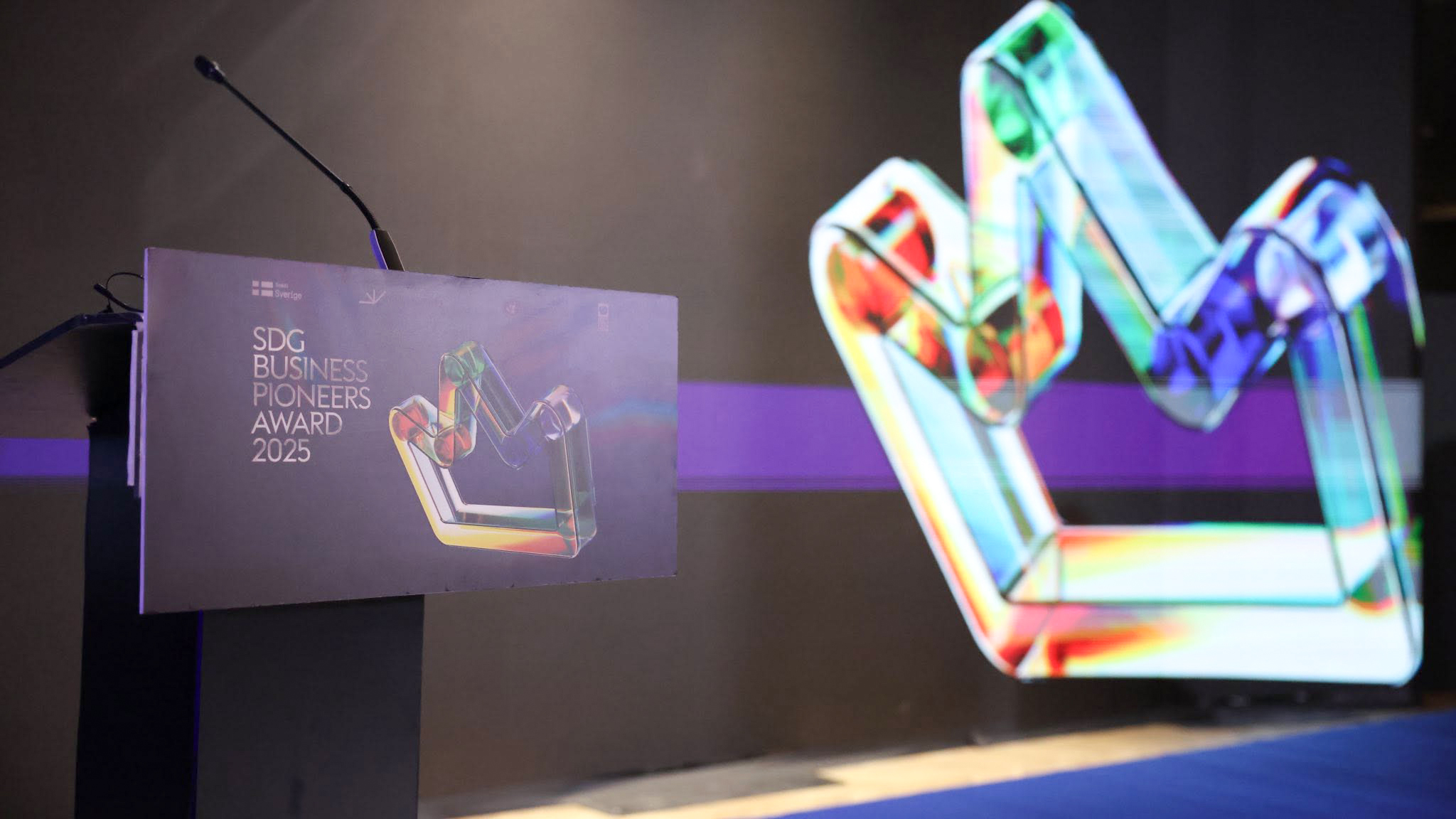 SDG Awards 2025